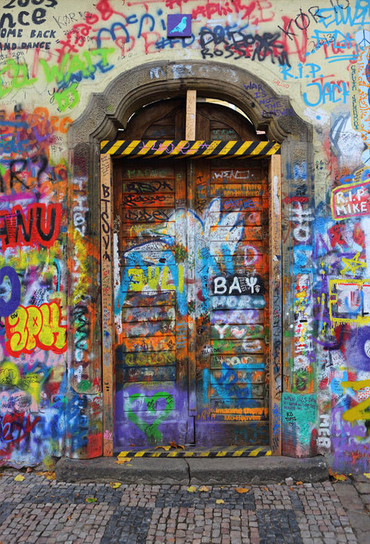 Toile de fond des années 1980 de mur de graffiti de porte pour la photographie SBH0188
