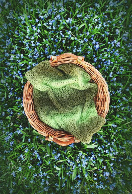 Toile de fond panier sur l'herbe verte de plantes vertes printemps de photographie