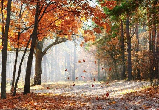 Toile de fond de paysage d'automne de feuilles jaunes pour la photographie