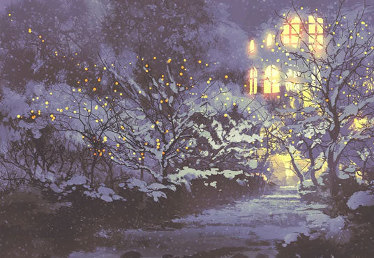 Toile de fond décors de photographie de Noël de nuit de neige