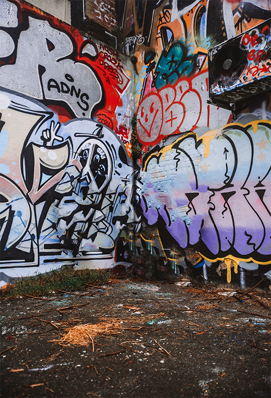Toile de fond de peint graffiti de mur et de maison abandonnée photographique SBH0206