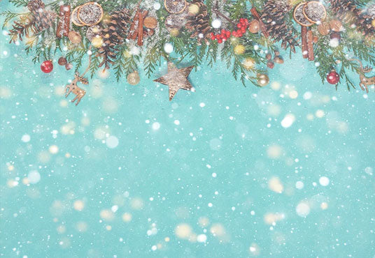 Toile de fond décors de photographie de noix de pin de flocon de neige de Noël à la menthe