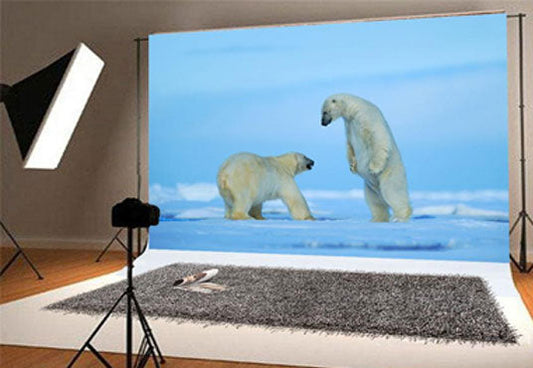 Toile de fond de photographie d'hiver d'ours polaire