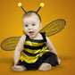 Toile de fond de photographie d'abeille pour le nouveau-née et bébé