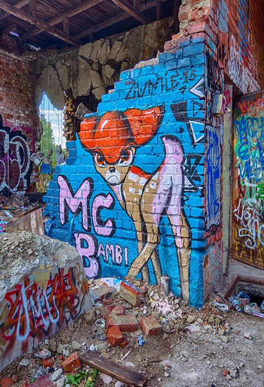 Toile de fond de mur cassé de cerf graffiti pour la photographie SBH0181