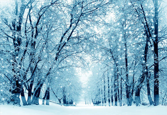 Toile de fond d'hiver flocon de neige route arbre pays des merveilles photographie