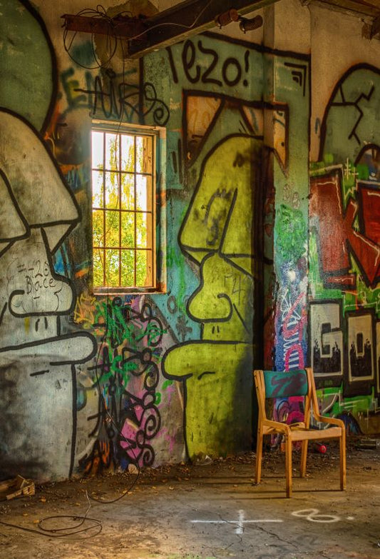 Toile de fond de photographie de graffiti de maison abandonnée SBH0186