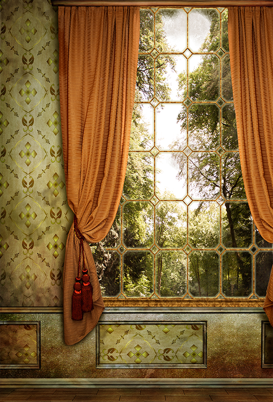 Toile de fond de chambre vintage avec fenêtre et rideau pour la photographie SBH0291