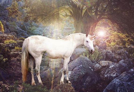 Toile de fond de licorne blanche de forêt secrète pou la photographie