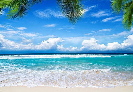 Toile de fond de ciel bleu océan feuilles de cocotiers de beau paysage