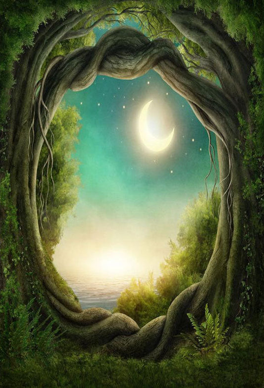 Toile de fond de forêt verte magnifique grand arbre sous la lune pour le fond de la photographie