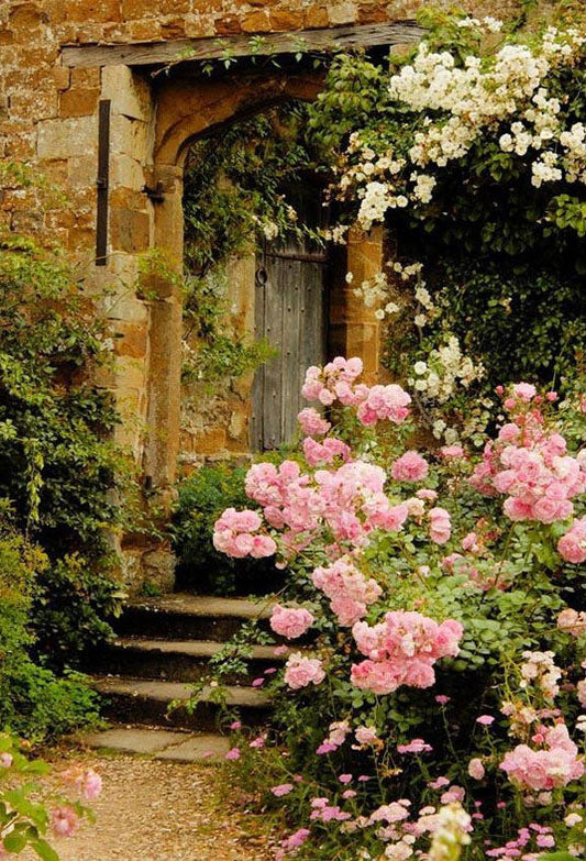 Toile de fond de fleurs roses à côté de la vieille de porte en pierre vue de printemps fond de photographie