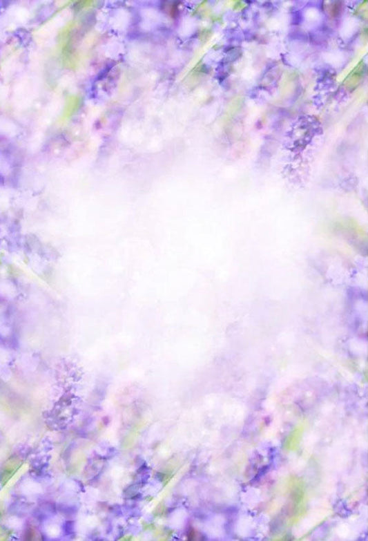 Toile de fond de bokeh fleurs violettes sous le soleil photographique