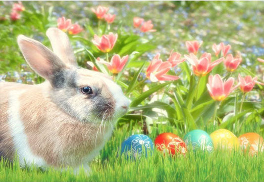Toile de fond de lapin et oeufs de Pâques parmi les fleurs pour la photographie de vacances