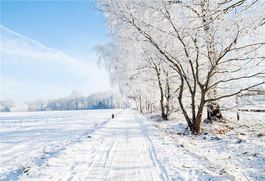 Toile de fond décors d'hiver au pays des merveilles de la neige blanche