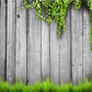 Toile de fond gris mur en bois vert plante printemps photographie décors