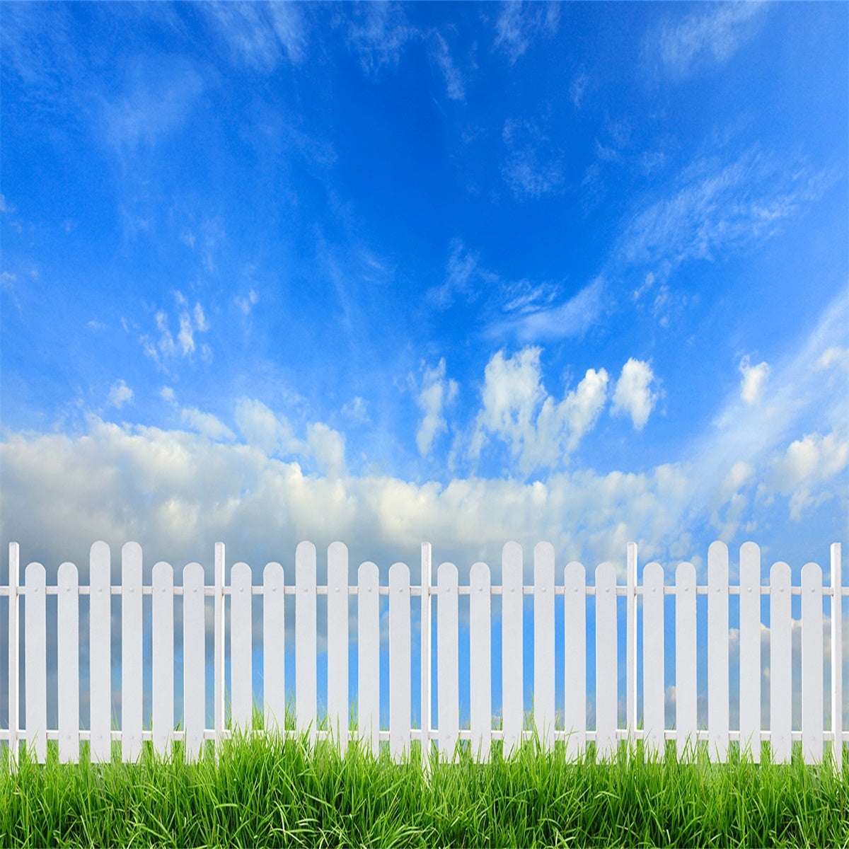 Toile de fond ciel bleu clôture blanche nuage printemps herbe verte pour Pâques