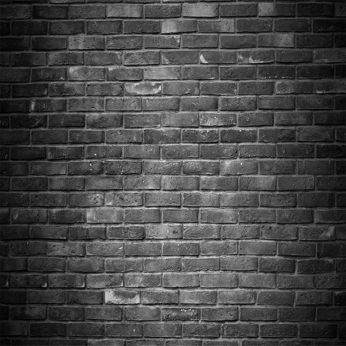Toile de fond décors de photographie de mur de lumière blanche de brique noire