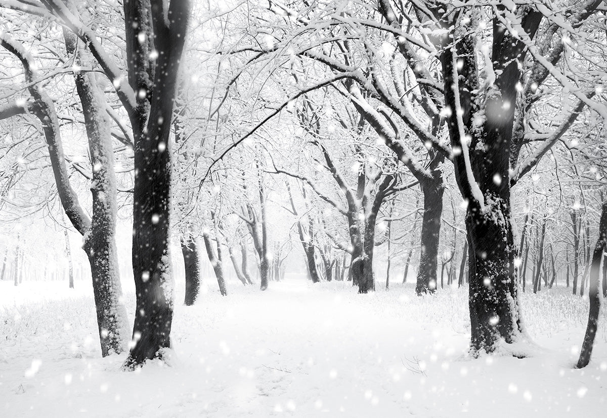 Toile de fond de photographie de neige d'hiver fond d'arbre de flocon de neige