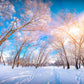 Toile de fond de photo de couverture de neige blanche d'hiver pour la photographie