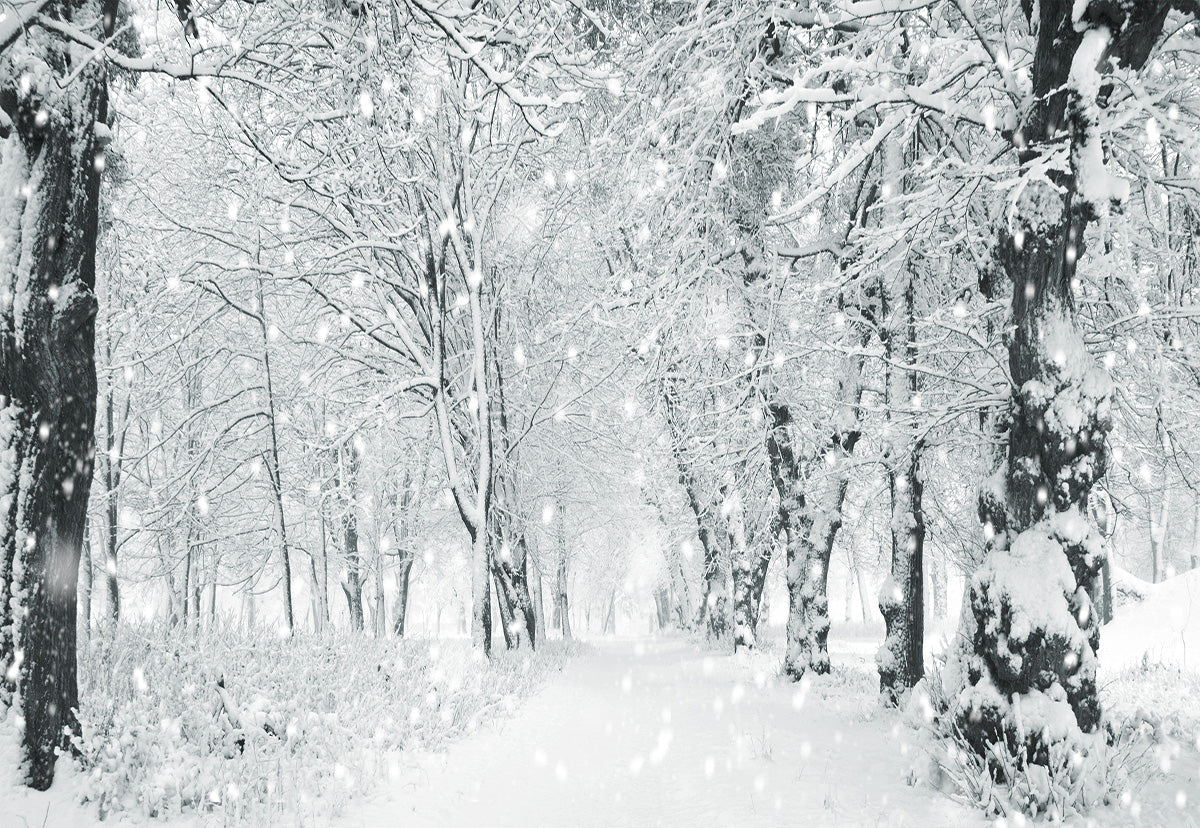 Toile de fond de photographie de forêt de flocon de neige blanc fond d'hiver