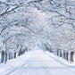 Toile de fond de photographie de route de neige d'hiver blanc