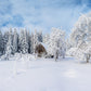 Toile de fond de photographie de forêt de couverture de neige blanche d'hiver