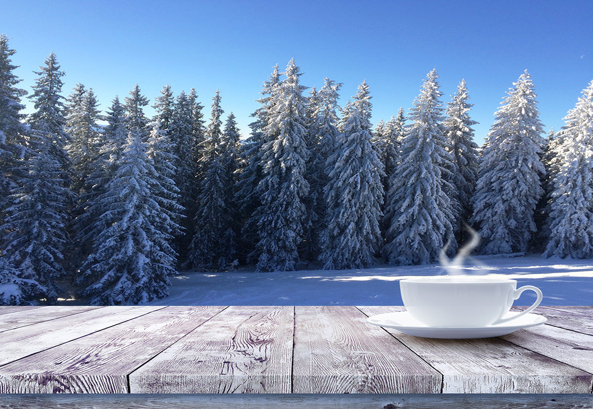 Toile de fond de bois plancher neige forêt photographie fond d'hiver