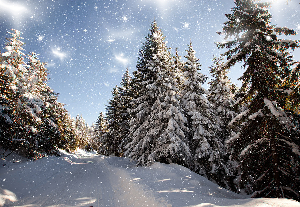 Toile de fond de photographie de forêt de couverture de neige d'hiver