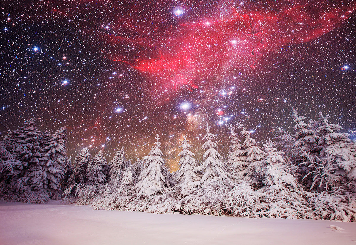 Toile de fond d'hiver forêt étoiles lumière photographie
