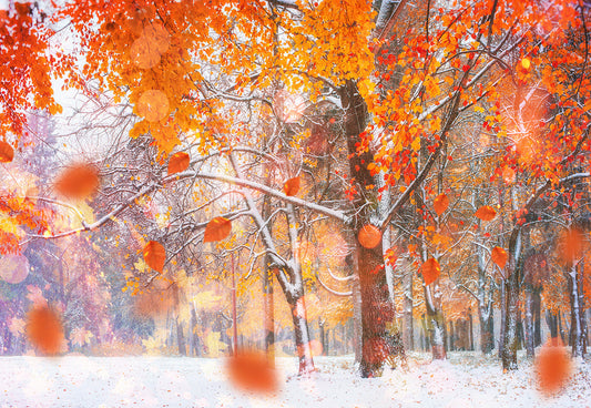 Toile de fond de photographie de neige d'hiver d'érable rouge pour les photos
