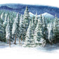 Toile de fond de neige de pin pour la photographie fond d'hiver