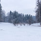 Toile de fond de neige rivière forêt hiver photographie
