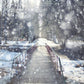 Toile de fond fond d'hiver neige rivière de photographie