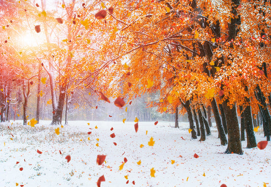 Toile de fond de photographie de neige d'arbre d'érable rouge