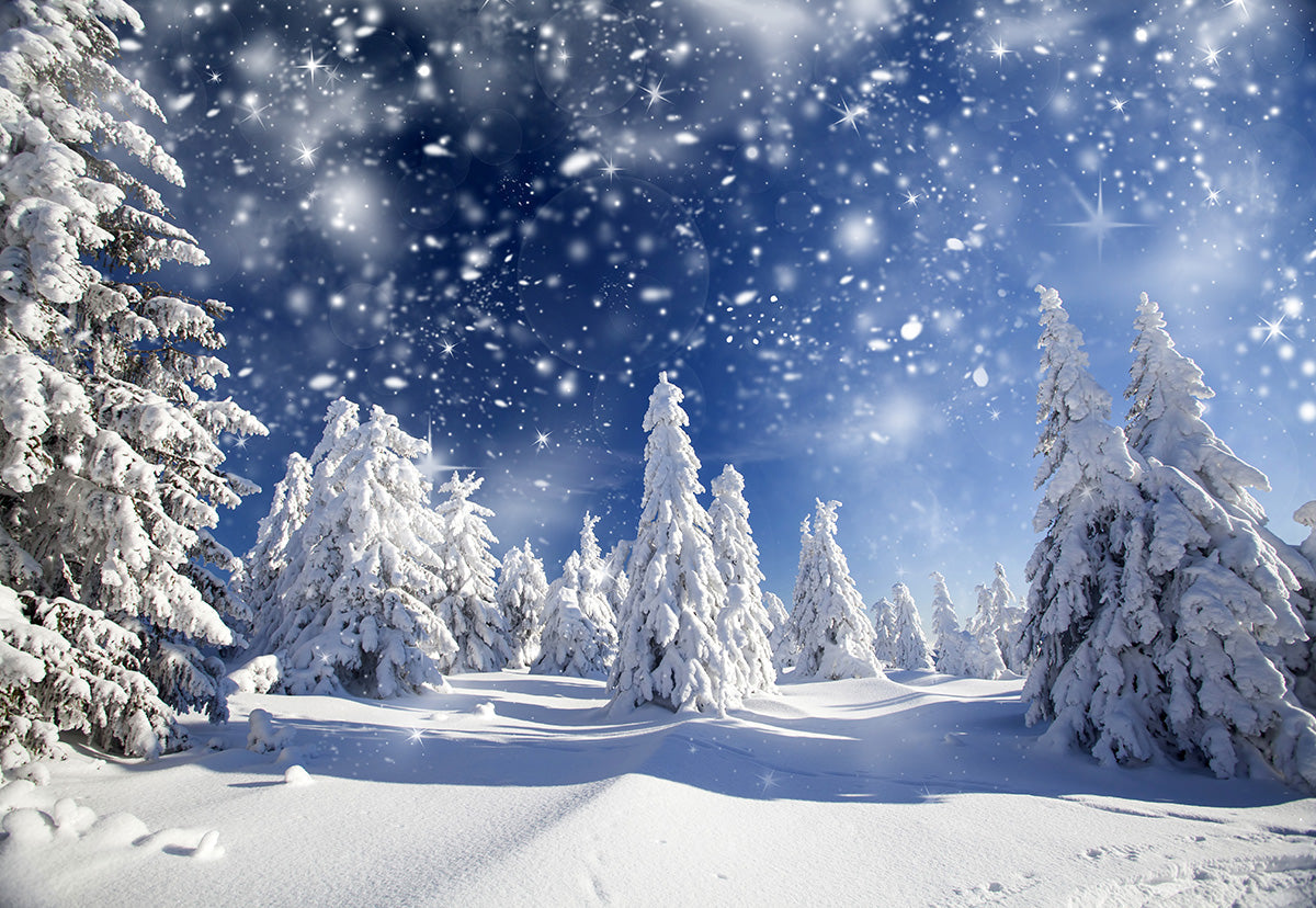 Toile de fond de photographie de forêt de neige blanche d'hiver