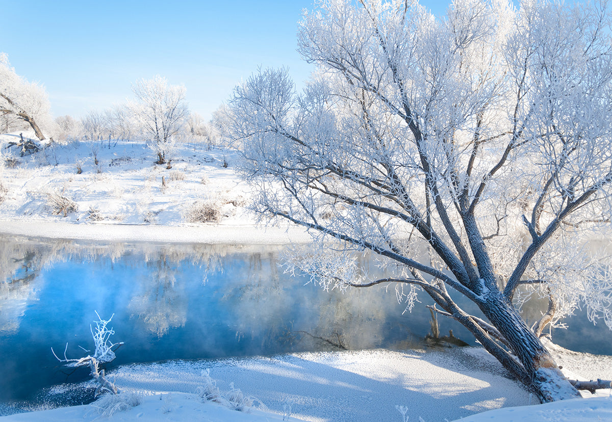Toile de fond de photographie de rivière de neige d'hiver