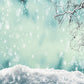 Toile de fond décors de photo de Noël pour la photographie fond de neige
