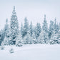 Toile de fond de studio photo de neige d'hiver pour Noël