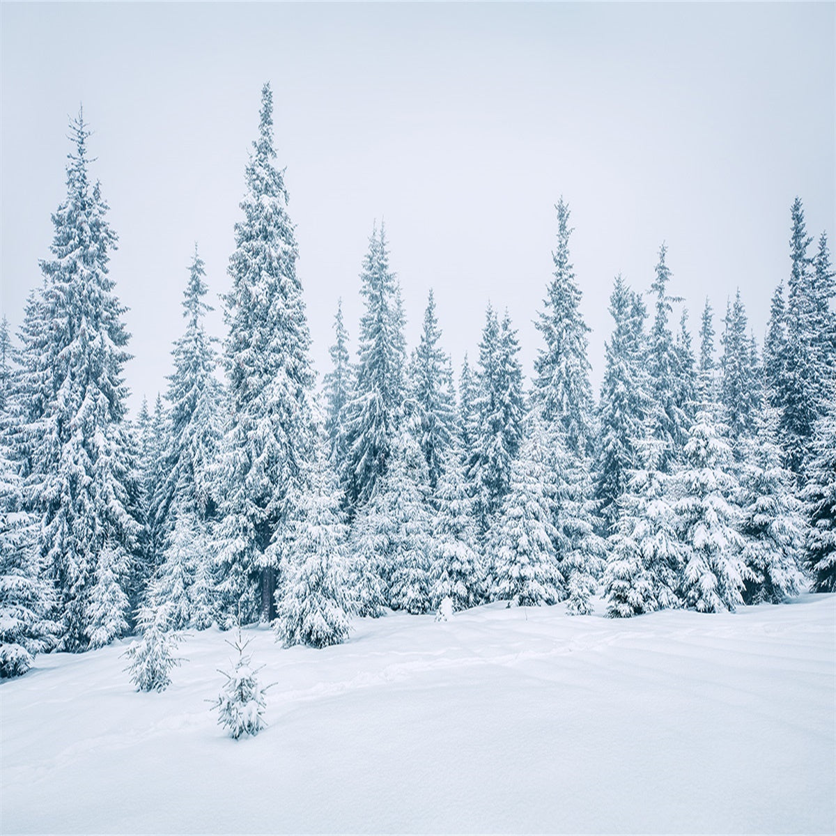 Toile de fond de studio photo de neige d'hiver pour Noël