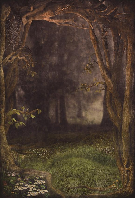 Toile de fond de photo de toile d'araignée de forêt verte