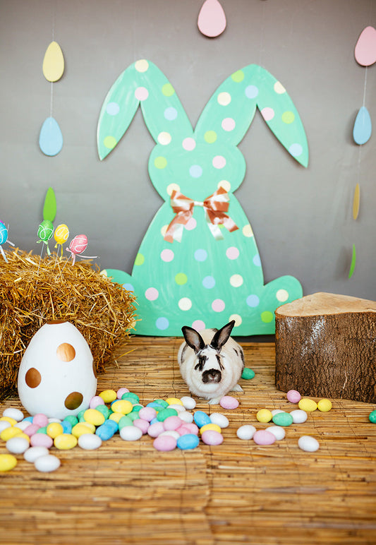 Toile de fond de polka menthe lapin oeufs colorés joyeuses Pâques décors de paille