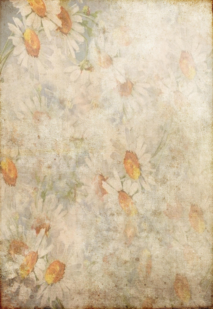 Toile de fond décors de photographie de fleurs de marguerite blanche