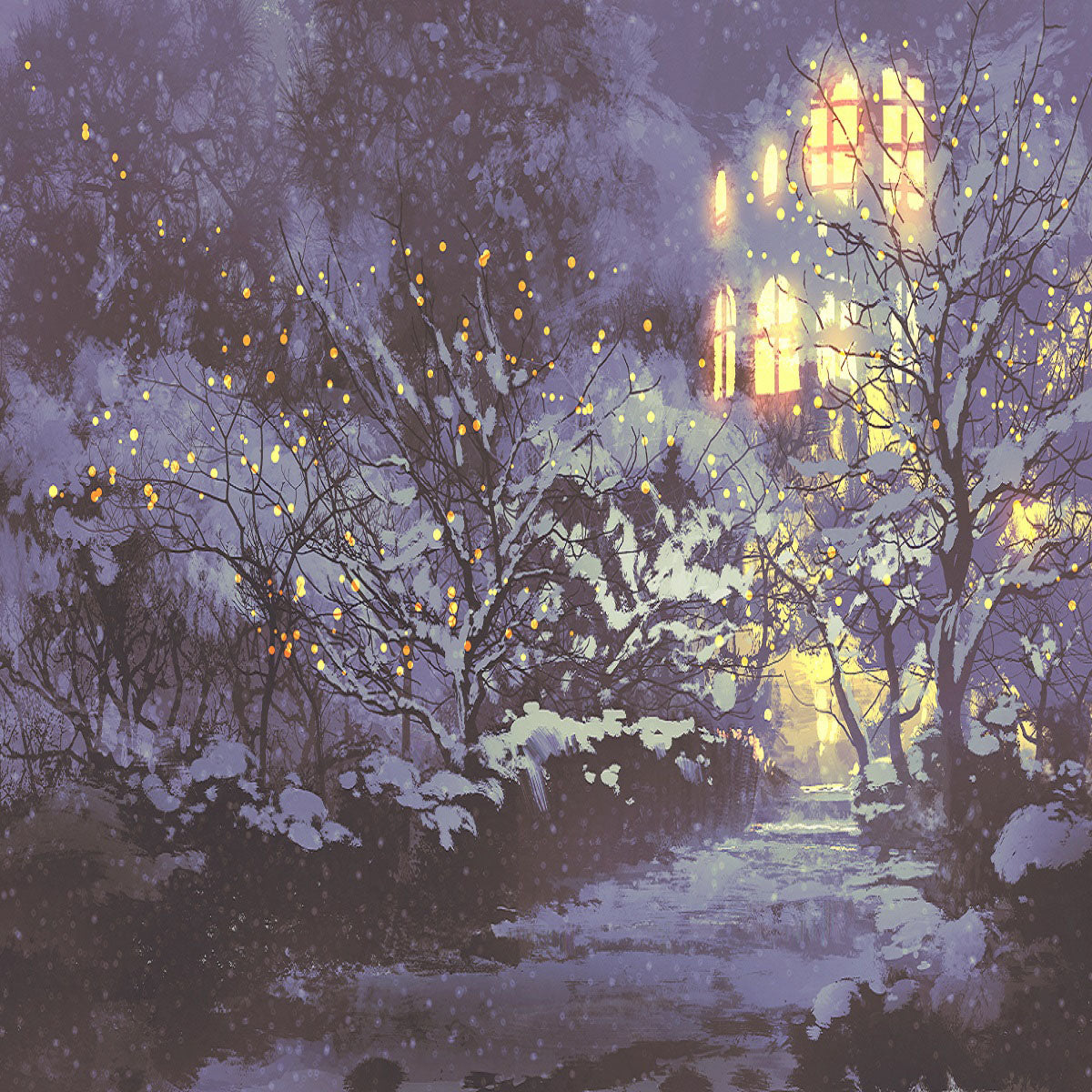 Toile de fond décors de photographie de Noël de nuit de neige