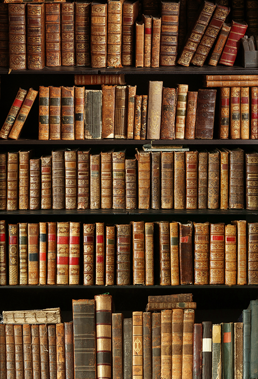 Toile de fond de vieux livres sur étagère en bois de photographie SBH0107