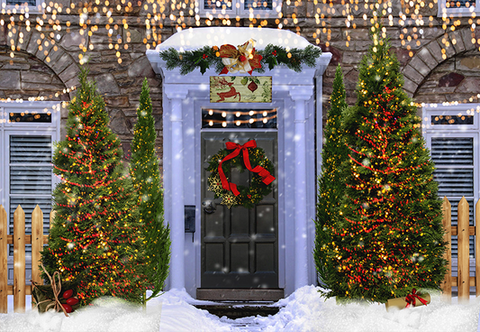 Toile de fond décorée de porche de Noël pour la photographie SBH0277