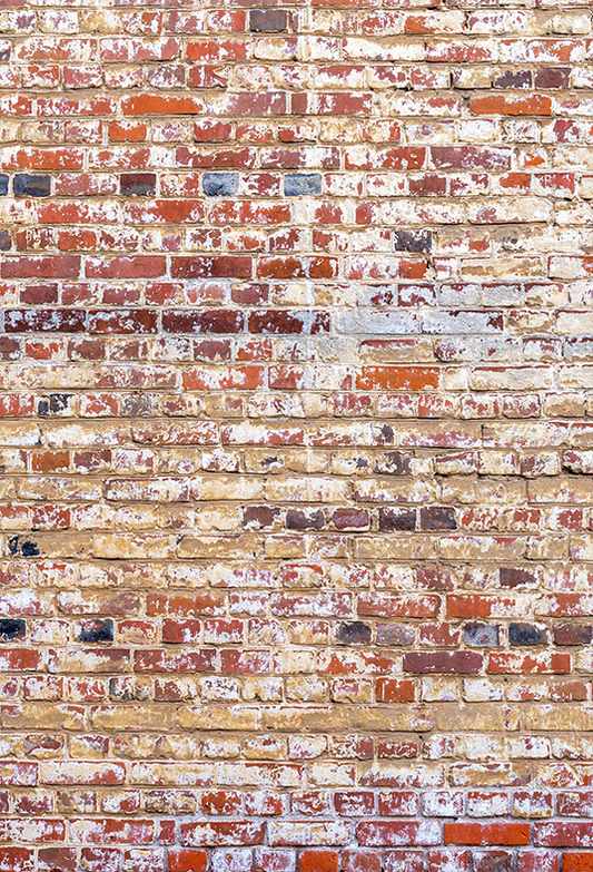 Toile de fond de vieux mur de briques rouges pour la photographie grunge SBH0327
