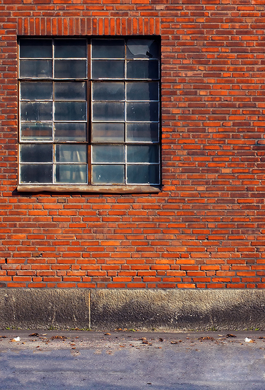 Toile de fond de brique de fenêtre barrée vieux pour la photographie SBH0340
