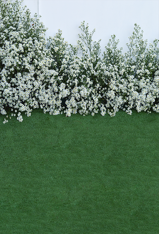 Toile de fond blanche en forme de fleur pour la photographie de printemps SBH0355