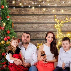 Toile de fond de mur en bois joyeux Noël pour la photographie
